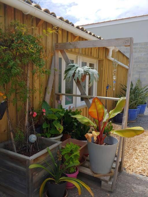Studio Cocooning Le Porge Exterior photo